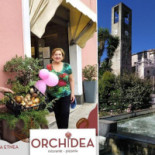 Pizzeria Orchidea Nourriture
