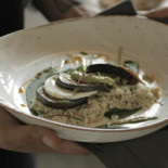 Ixaya Cibo