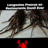 Donde Ever Cibo