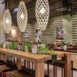 Coa Wok Bowls Cibo