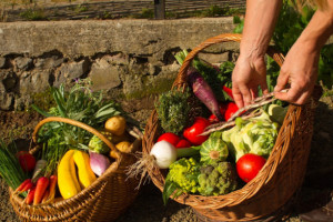 La Table De Vailhac food