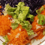 Bourrel Cibo