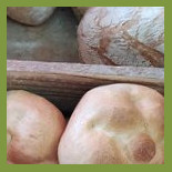 Triticum Nourriture