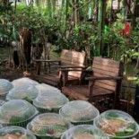 กาแฟในสวน ลำลูกกาคลอง 13 Cibo