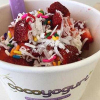 Cocoyogurt food