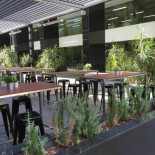 Panache Cibo
