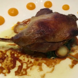 Ernest's Cibo
