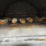 Berchat Cibo