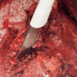 M'o Ice Cream À l'intérieur