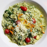 Mockingbird Cibo