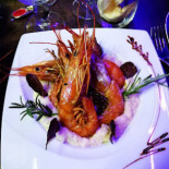 Red Cap Cibo