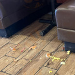 Denny's Dentro