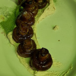 Donnet Cibo