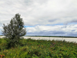 Les Bord De Garonne outside