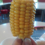 Kfc Tours Nord Cibo