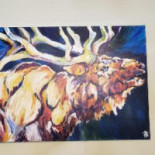 Pine Tree Dentro