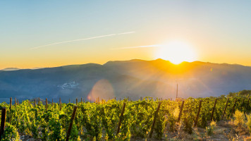 Alte Kanzlei Wein Und Essen food