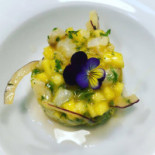 Luna 36 Cibo
