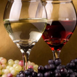 Wein Wolf Cibo