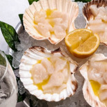 Pesce Crudo E Plateau Royal By San Pietro Milano food