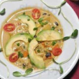 Vibrance Cibo