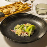 [settecento] Gourmet Comida