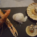 Balacobar Nourriture