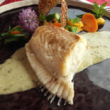 Sterenn Cibo