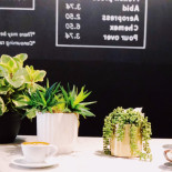 Orbis Caffe Cibo