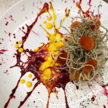 Manto Cibo