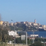Tempus Caffé Cibo