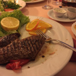 L'ambiente Cibo