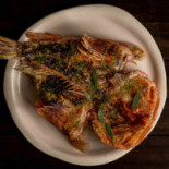 Terrae Cibo