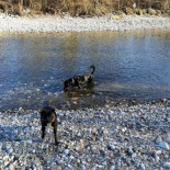 Parco Buschina outside