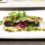 Lien Cibo