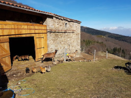 Auberge Vert Anes inside