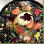 Dock Dot Cibo