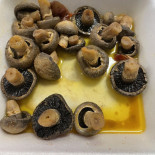 Loop Seafood Cibo