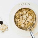 Gaglio Cibo