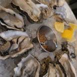 Harbor Cibo