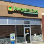 Tangerine Tree Cibo