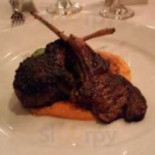Swoop Cibo