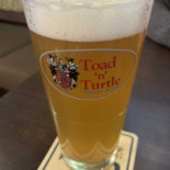Toad N Turtle Cibo