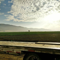 Chualar Market outside