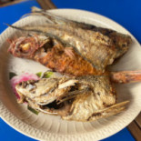 Offrititi Cibo
