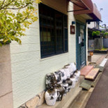 Sì Chuān ダイニング Cǎi Yáng Dentro