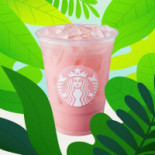 Starbucks Cibo