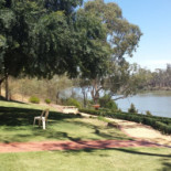 Trentham Esterno