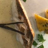 Nanoo's Cibo