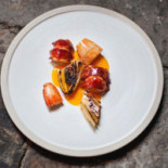 Timberyard Dentro